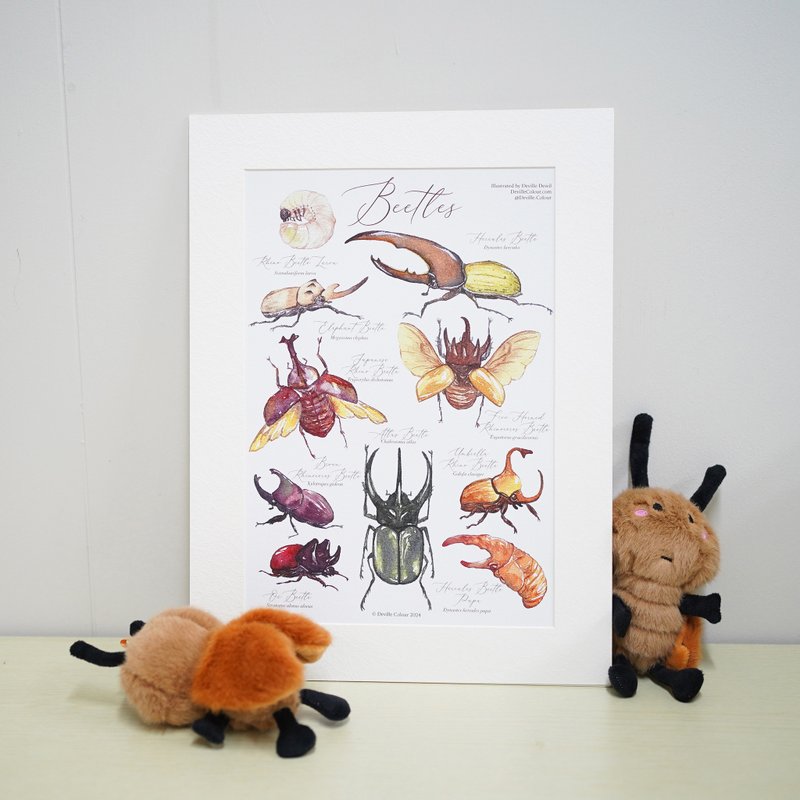 【Mr Beetles】Watercolour Illustrated Encyclopedia A4 Art Print - โปสเตอร์ - กระดาษ สีนำ้ตาล