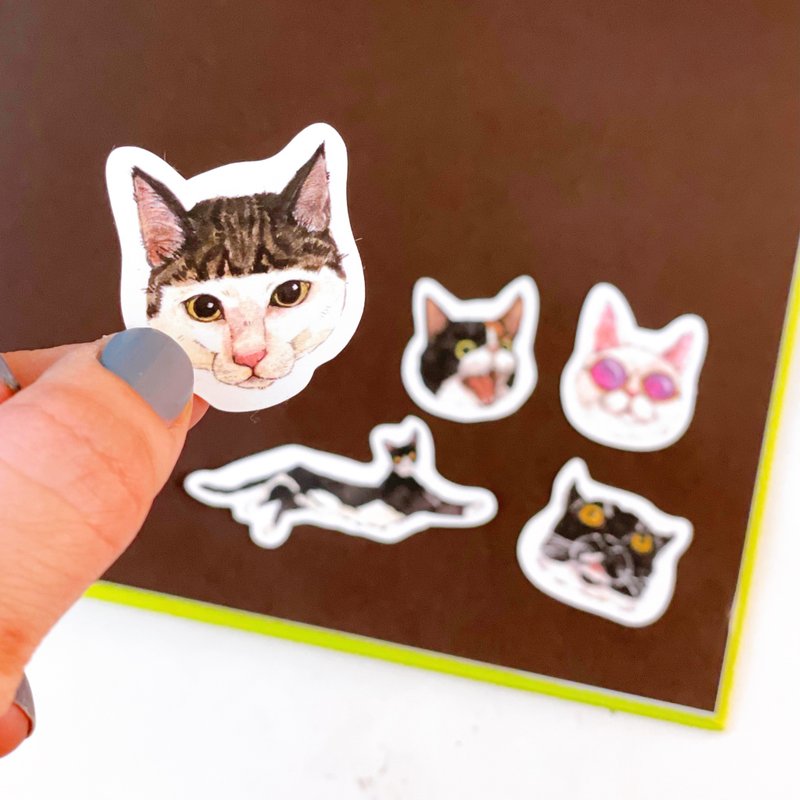 Ugly Cats  Second generation Matte waterproof stickers  13 pcs per set - สติกเกอร์ - กระดาษ 