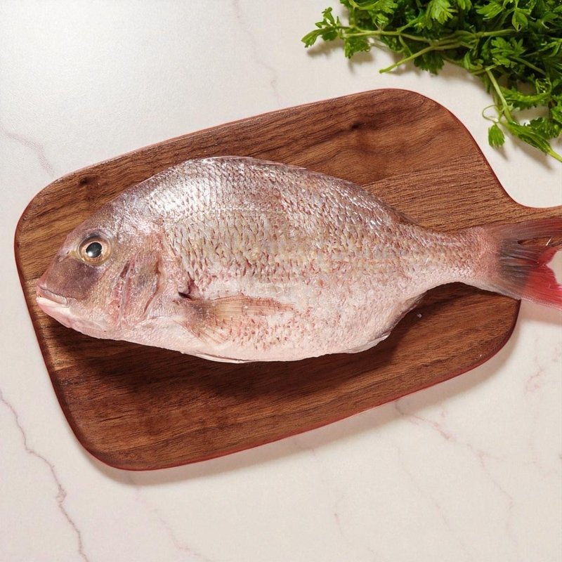 開運真鯛嘉鱲魚 肉質細緻清蒸煎煮家庭料理好幫手 - 其他 - 新鮮食材 灰色