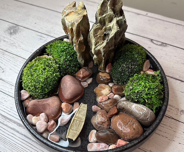 Moss micro landscape/ lakeside fairy stone/ indoor potted plant/ gift  recommendation/ home decoration - Shop naturemateria Plants - Pinkoi
