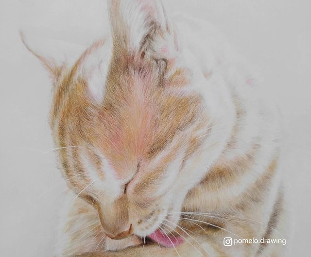 客製寵物畫A4尺寸可附框精細色鉛筆- 設計館佑子畫一畫|手繪客製|寵物 