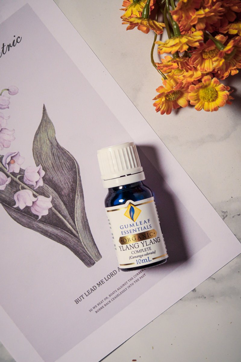 【澳洲原裝】Organic Ylang Ylang Complete 有機伊蘭伊蘭 單方精 - 香氛/精油/擴香 - 精油 