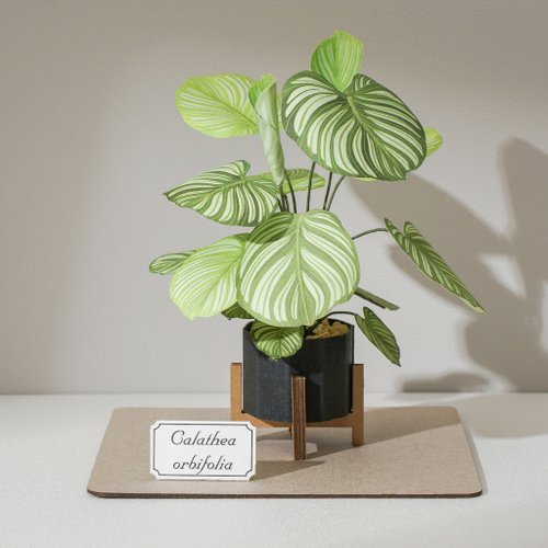 観葉植物ページペーパーナプキン17点 500x0.jpg
