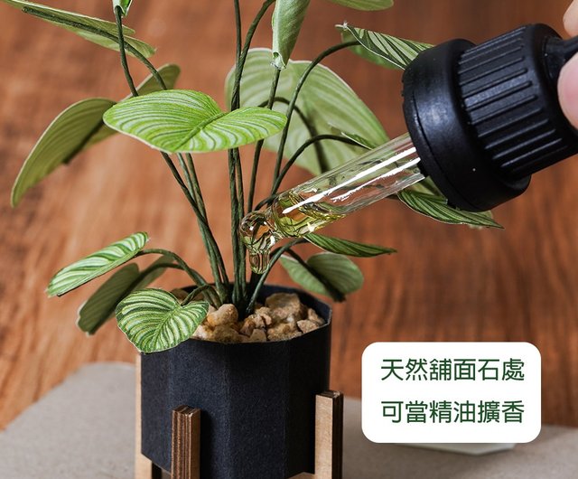観葉植物 楽天市場】モンステラ株立ちタイプ(LL) 【 モンステラ 造花