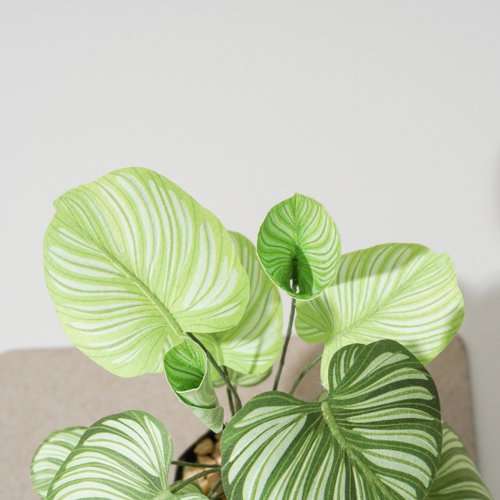 グリーンアップルクズ】観葉植物 ペーパー植栽資材 包装紙 模型
