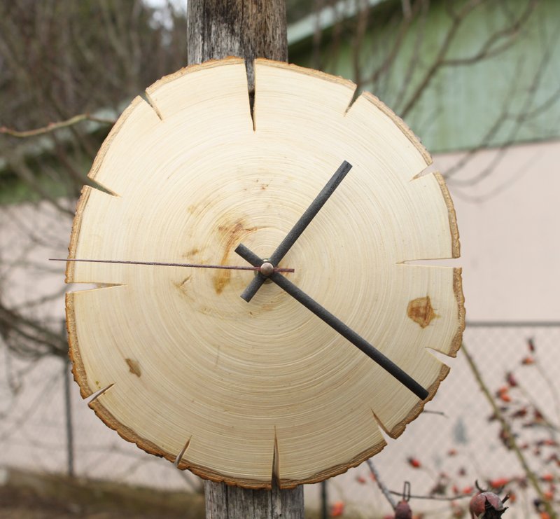 clock wood natural aspen Wall Clock art  Tree Round Slices live edge best - นาฬิกา - ไม้ 