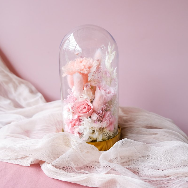 玻璃鐘罩/粉白色/不凋花/永生花/乾燥花/康乃馨/母親節 - 植栽/盆栽 - 植物．花 粉紅色
