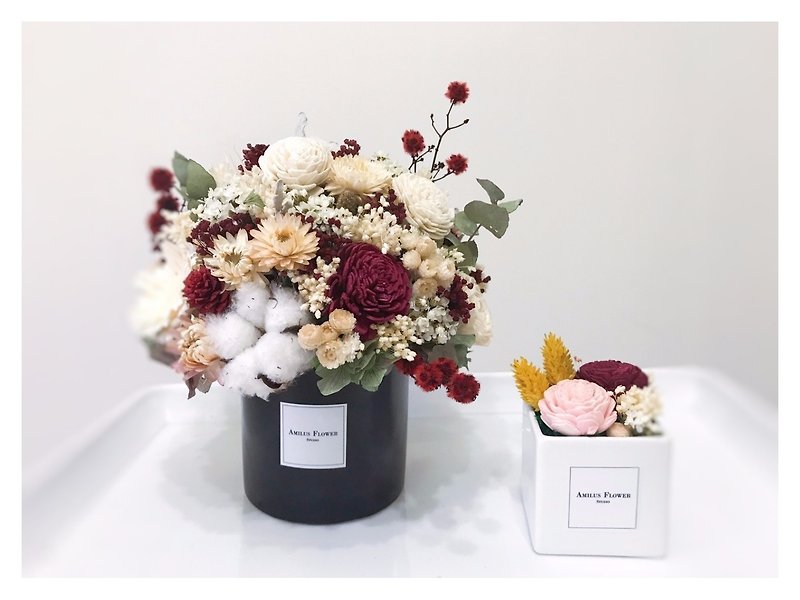 グッディバッグ - 無料の輸送元グレーシアそれぞれの子グループ/オープニングセレモニーの花/花の誕生日プレゼントの完全な祝福[1 + 1]❤ - 観葉植物 - 寄せ植え・花 