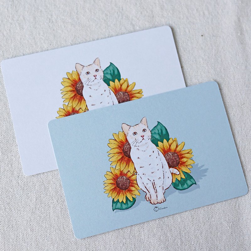 ホワイトひまわり猫ポストカード - カード・はがき - 紙 ホワイト