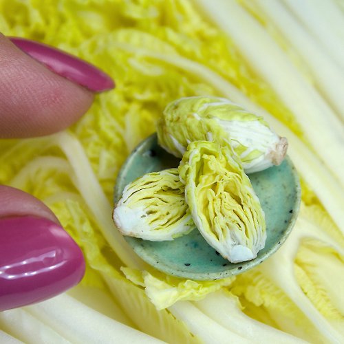 Rina Vellichor Miniatures TUTORIAL Miniature Napa cabbage with air dry clay | PDF + video
