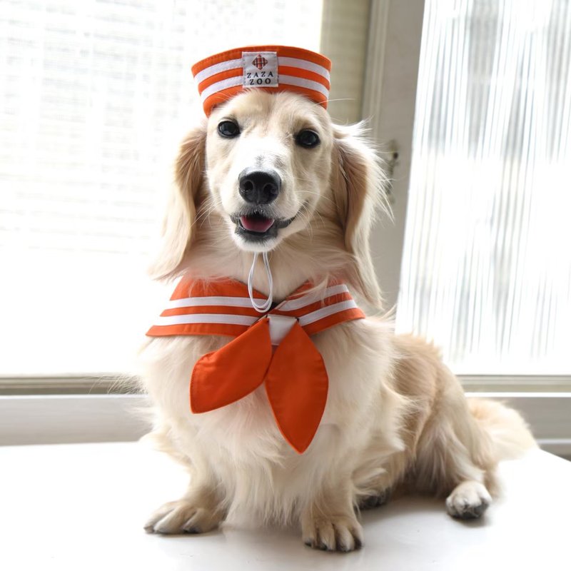 On sale! Sailor Hat & Scarf with 2 ties (bowtie and sailor tie) - Collars & Leashes - Cotton & Hemp Multicolor