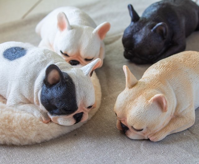 Snooze french bulldog Zzz Office Decor Gifts Shop Magger Items for Display Pinkoi