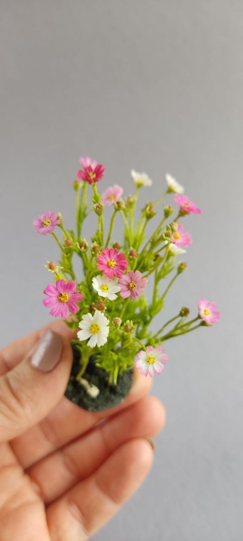 Cosmea. Botanical miniature. Flowers on a stand 1:12 - อื่นๆ - พลาสติก หลากหลายสี
