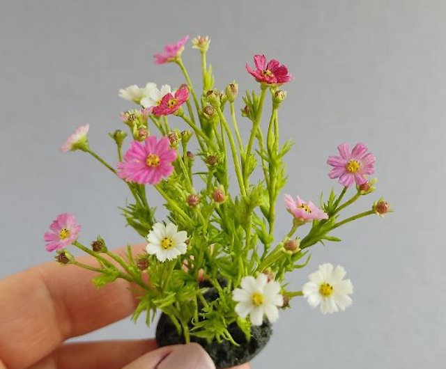 Cosmea. Botanical miniature. Flowers on a stand 1:12 - Shop  MiniatureFlowersArt Other - Pinkoi