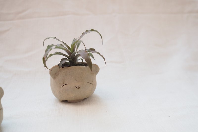 Bear Ceramic Plant Pot - 植栽/盆栽 - 陶 咖啡色