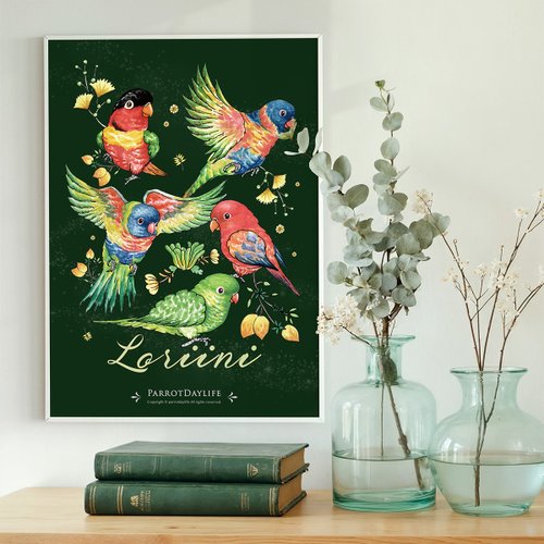 鸚味日誌ParrotDaylife 海報 / 吸蜜鸚鵡圖鑑系列海報