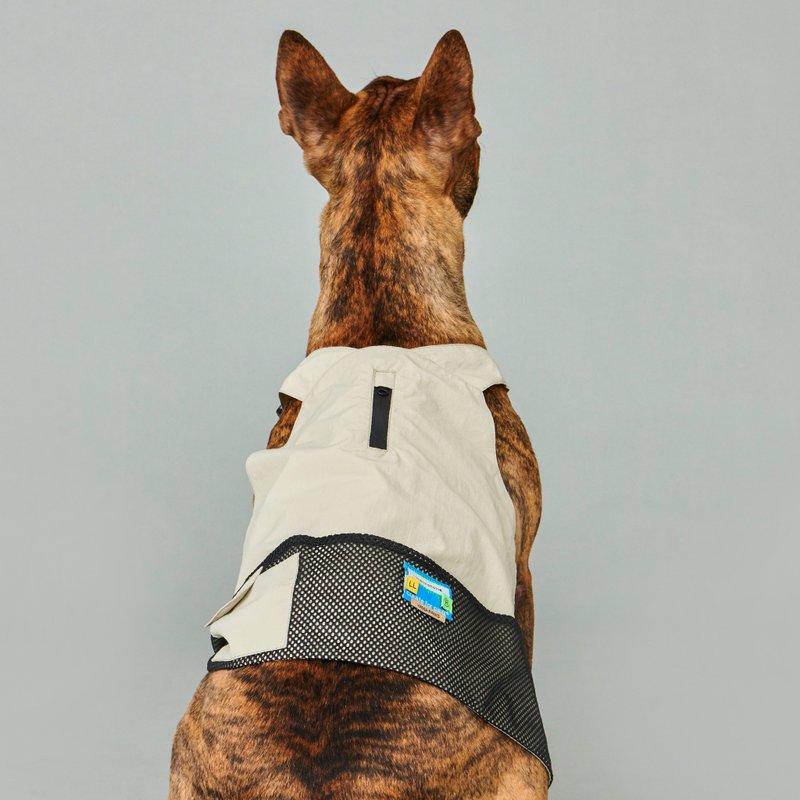 yama paws / montagna vest light grey - ชุดสัตว์เลี้ยง - ผ้าฝ้าย/ผ้าลินิน สีเทา