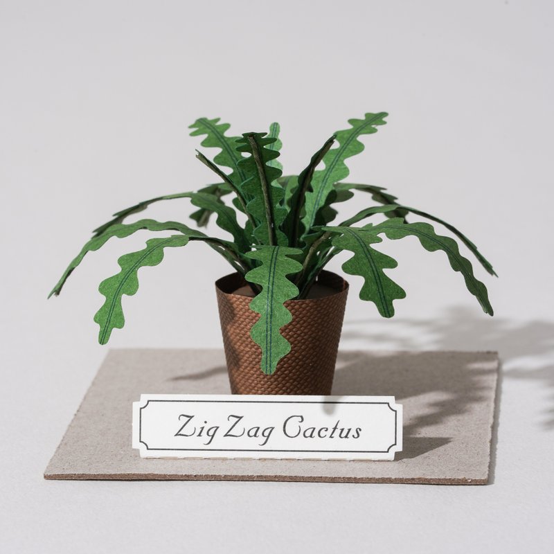 DIY Kit - Forever Green -  Zig Zag Cactus | 9028404 GREENFUL LIFE - งานไม้/ไม้ไผ่/ตัดกระดาษ - กระดาษ 