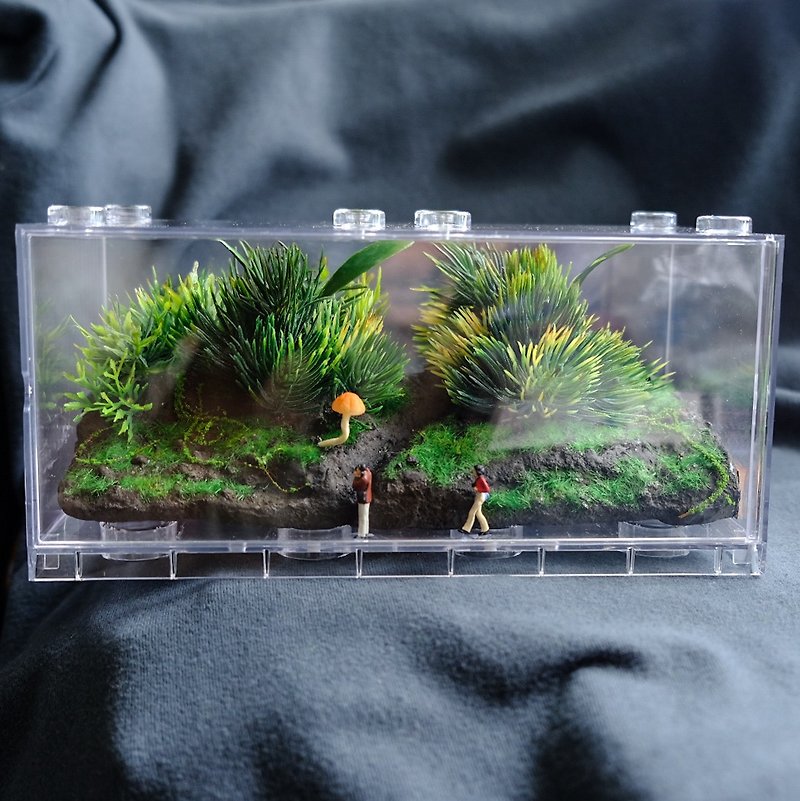 [Each velvet のおとぎ话] terraICE custom-made landscape ecological bottle time capsule by ETPLANT - Plants - Plants & Flowers Green