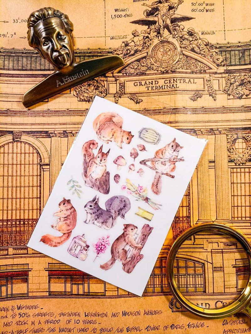 KR521_Cute Animals_msquirrel.A Transfer Stickers/轉印貼紙 - 貼紙 - 塑膠 