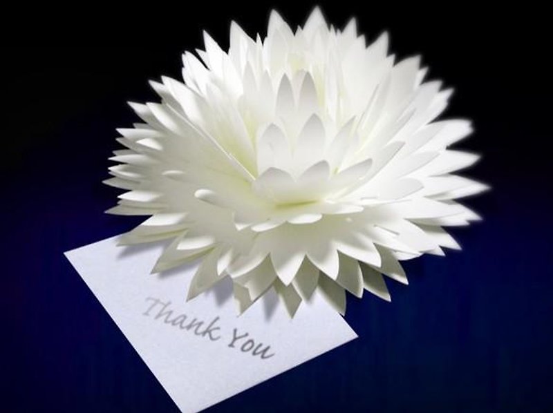 Pop-up message card -Dahlia- 　咲くようにひらく 花のサンキューカード ダリア　forバースデー・ウェディング・アニバーサリー - カード・はがき - 紙 ホワイト