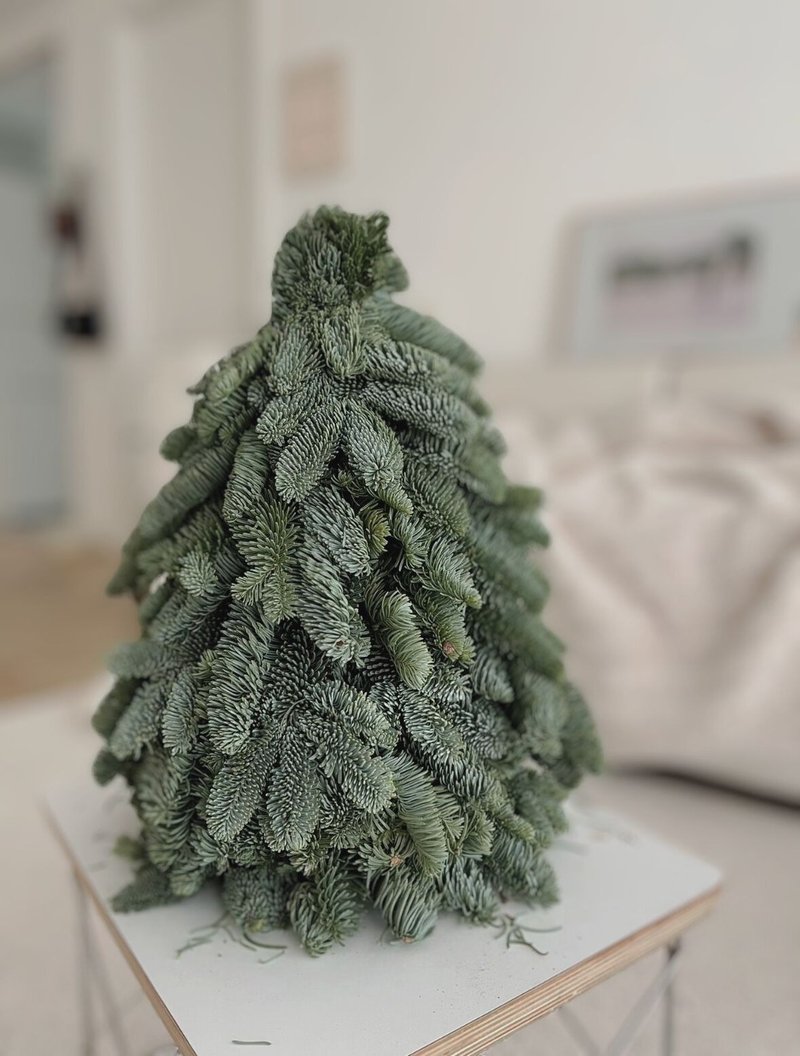 *2024 Christmas early bird discount*Danish imported Nobel pine noble pine Christmas tree bare tree natural pine - Plants - Plants & Flowers Green