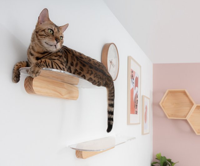 Clear Acrylic Floating Cat Shelf, Jackson Galaxy Cat Shelves
