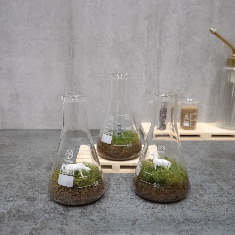 The world of moss in an Erlenmeyer flask - ตกแต่งต้นไม้ - แก้ว 