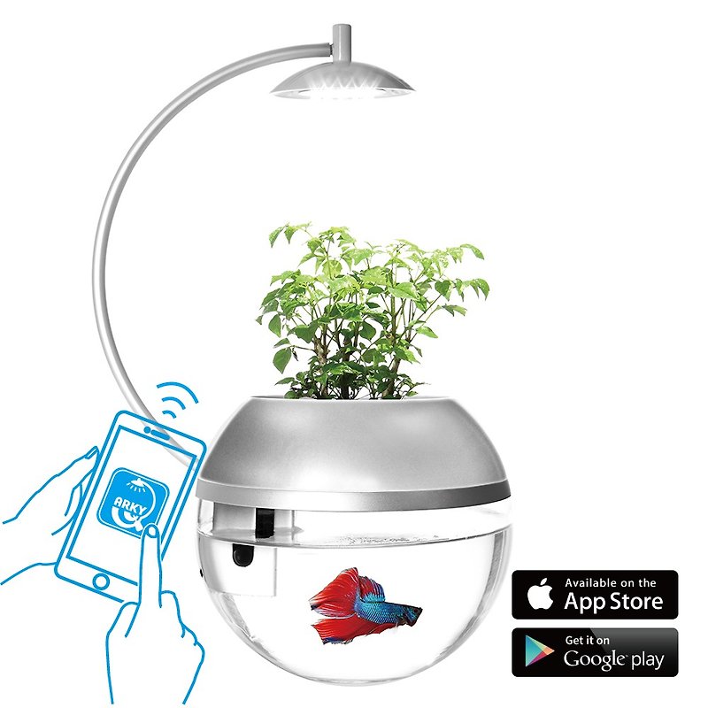 Herb & Fish X Smart Edition Herb&Fish X Connect-Kyoto Silver Limited Edition - Plants - Other Materials 