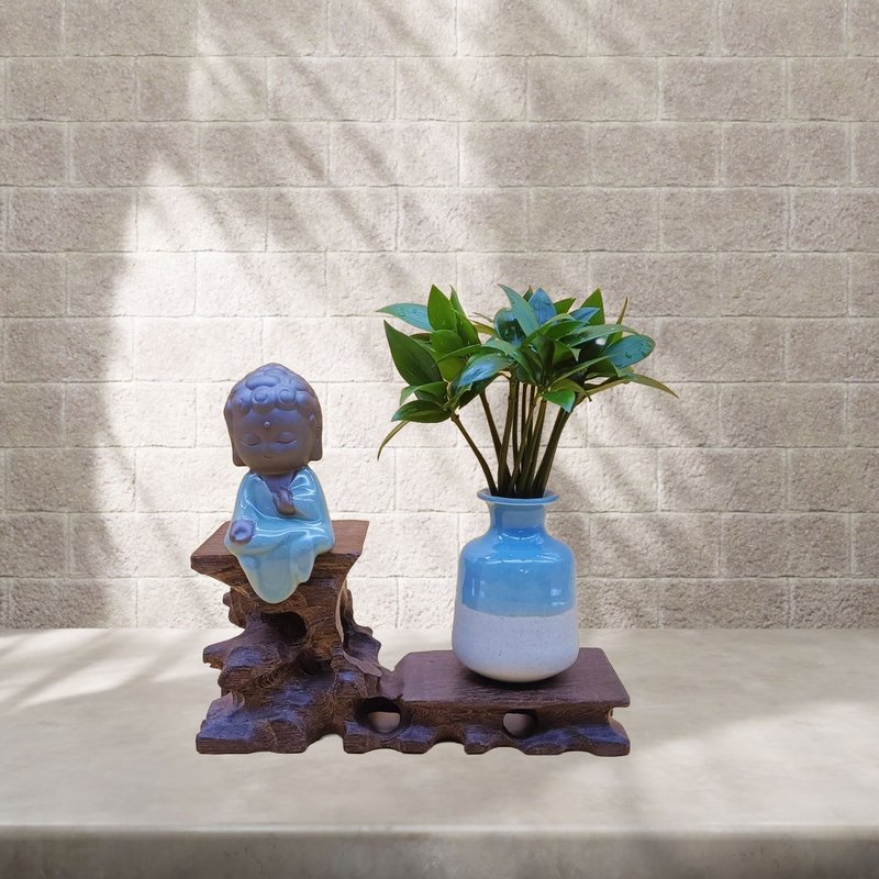 竹柏 室內水生植物 雞翅木高低架 Q版如來,觀音,地藏擺件 - 盆栽/植栽 - 木頭 