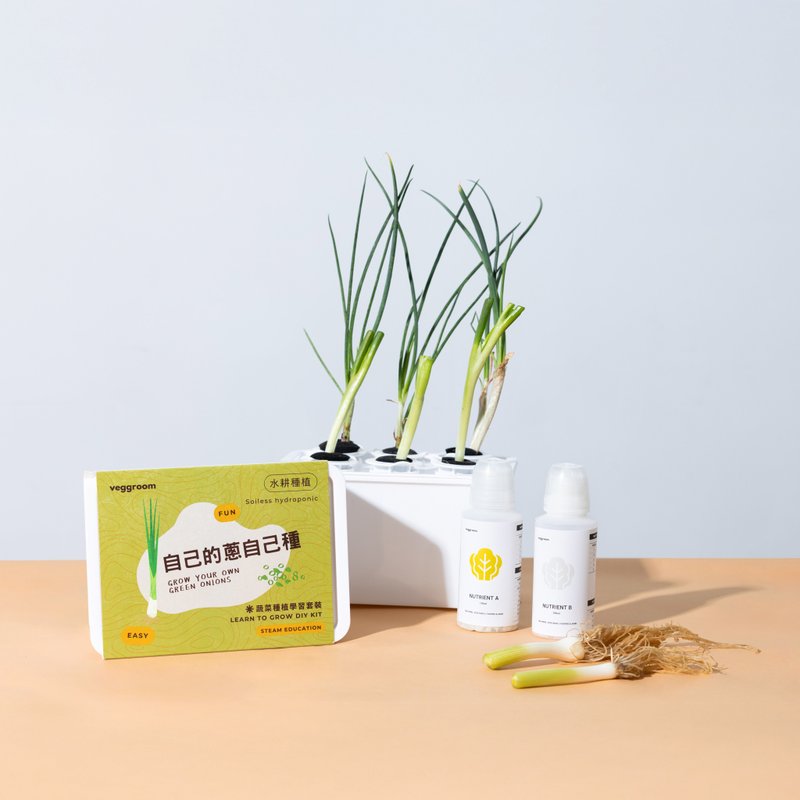 自己的蔥自己種 DIY學習套裝 - 花藝/盆栽/植栽 - 塑膠 白色