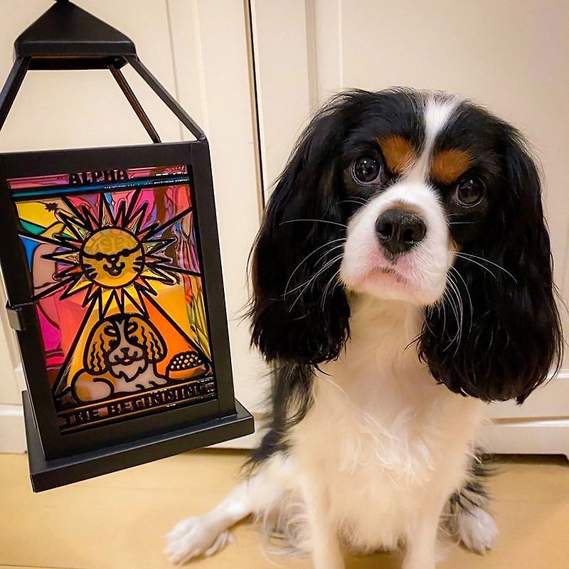 【Moko Bastet】Puppy Painted Lantern