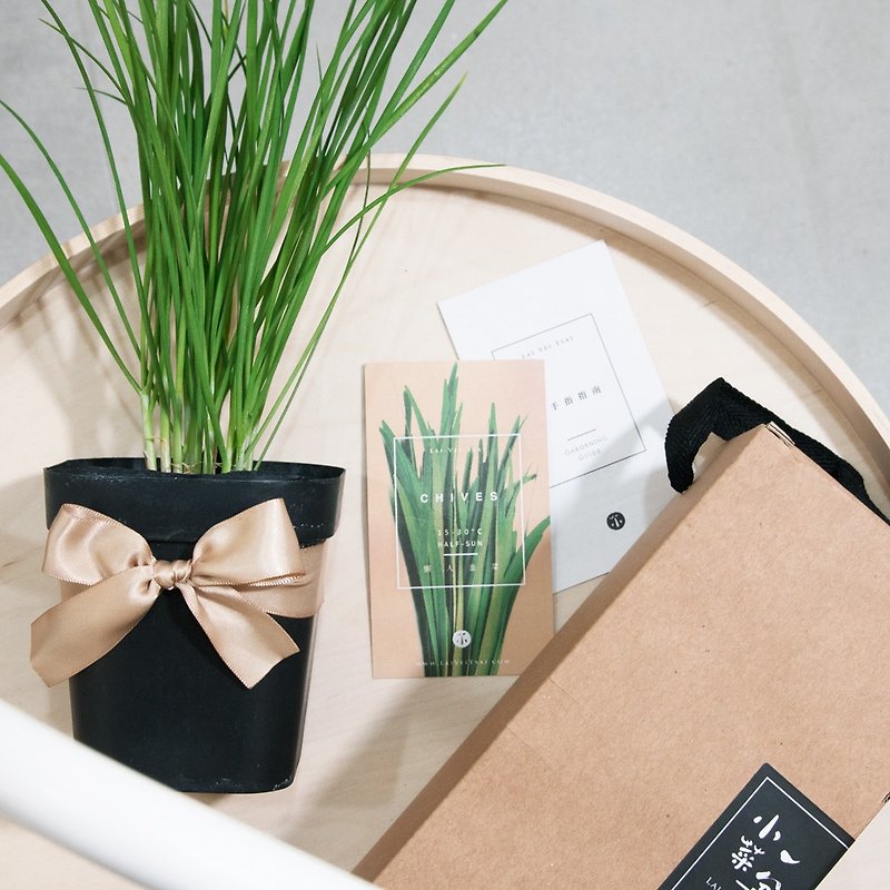 Lazy Leek - Spice Gift - ตกแต่งต้นไม้ - พืช/ดอกไม้ สีเขียว