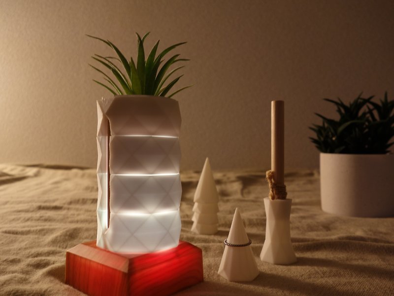 Fake Plants and Box, Aroma Diffuser, Ring Stand, LED Base, Geometric Polygon