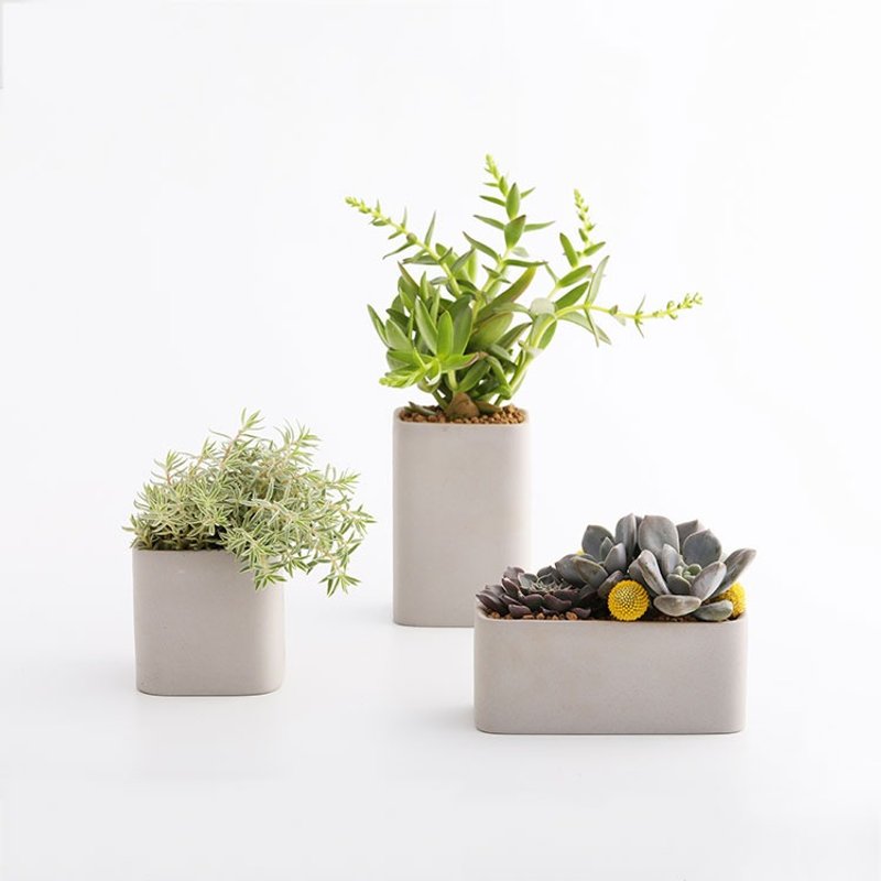 3 containers ｜三個容器（多肉盆栽） - 花瓶/花器 - 瓷 灰色