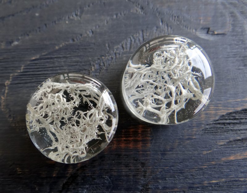 Gray ear plugs gauges 2g 0g 00g jewelry Double Lucite - 耳環/耳夾/耳骨夾 - 植物．花 灰色