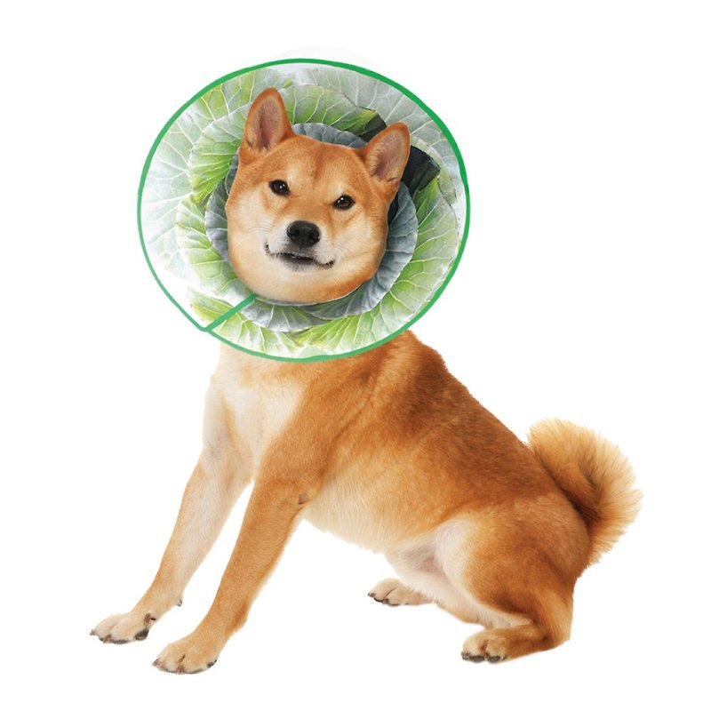 M+ Elizabethan collar headgear neck circumference about 33 cm plus or minus 5 cm two peony cabbage - Collars & Leashes - Plastic Multicolor