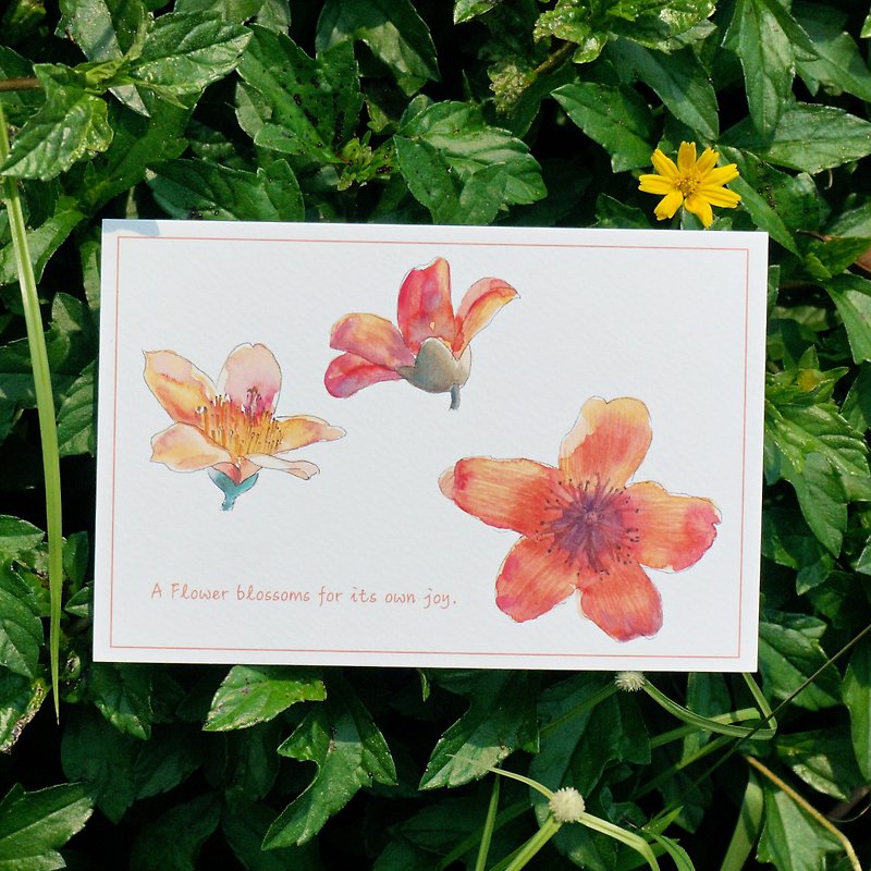 กระดาษ การ์ด/โปสการ์ด สีแดง - Flower watercolor postcard, Greeting card, Birthday card - Flower Bombax ceiba