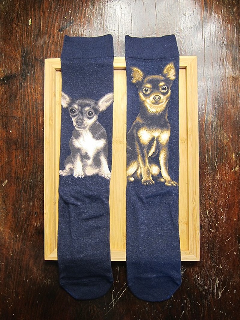 JHJ Design Canadian Brand High Color Knitted Cotton Socks Dog Series Chihuahua (Male) Puppies Love Dogs Cute - ถุงเท้า - ผ้าฝ้าย/ผ้าลินิน 