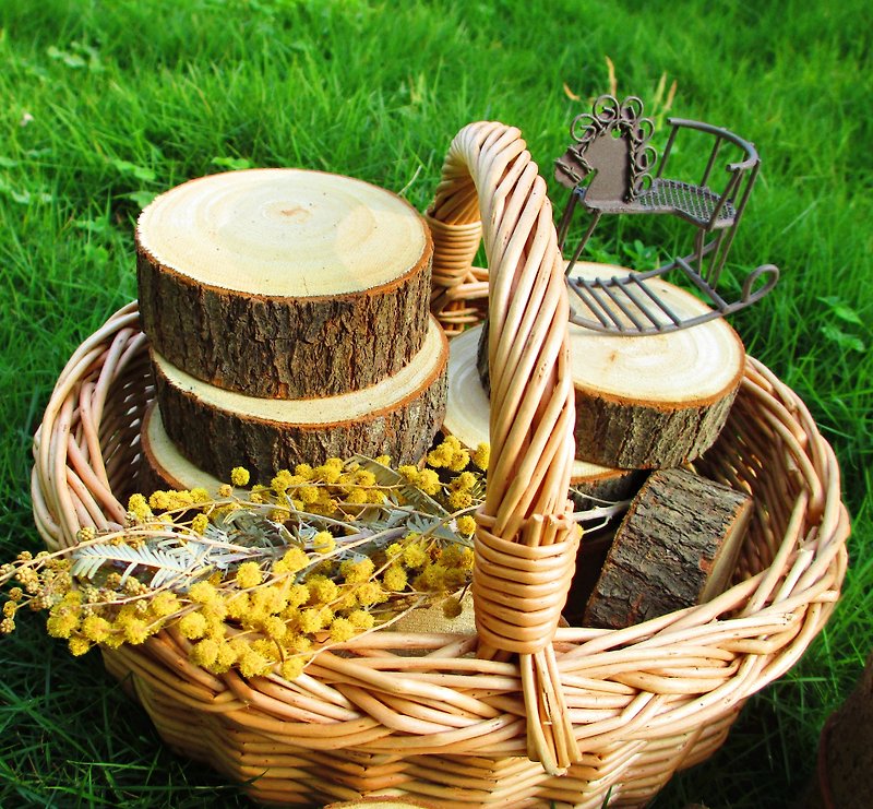 Natural fragrance-handmade camphor wood block (single block sale / circle diameter 5-6 cm section) - ที่รองแก้ว - ไม้ 