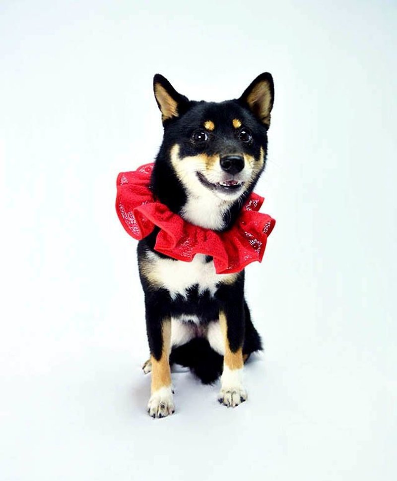 Pet Ruffle Collar-Red Lace RD (XL/2XL/3XL) - Clothing & Accessories - Other Materials Red