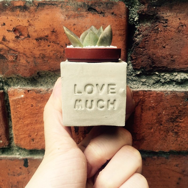 Love Much~! Succulent Magnet Potted Plant - Plants - Cement Gray