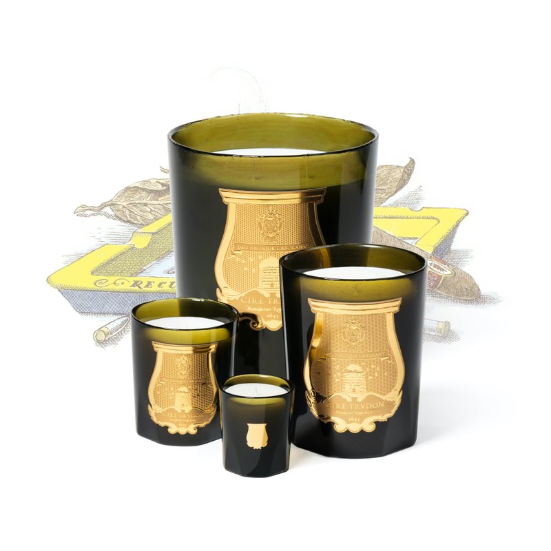 Cire Trudon 皮革與菸草香氛蠟燭 - 香氛蠟燭/燭台 - 玻璃 卡其色