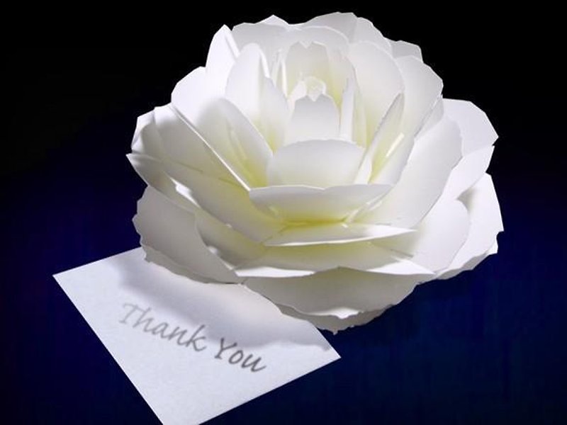 咲くようにひらく 花のサンキューカード ローズ　forバースデー・ウェディング・アニバーサリー - カード・はがき - 紙 ホワイト