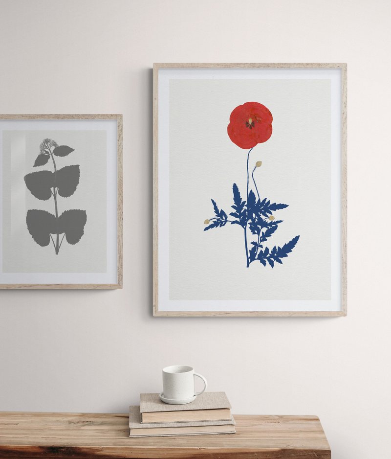 Red Poppy Pressed Wildflower Art Print โปสเตอร์ ภาพพิมพ์ภาพวาด สำหรับการตกแต่ง - โปสเตอร์ - กระดาษ สีแดง