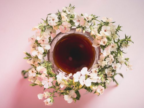 咖啡探險 熱帶水果&茉莉花 | 肯亞 多門 辛巴 藝伎 日曬 - 咖啡濾掛10入