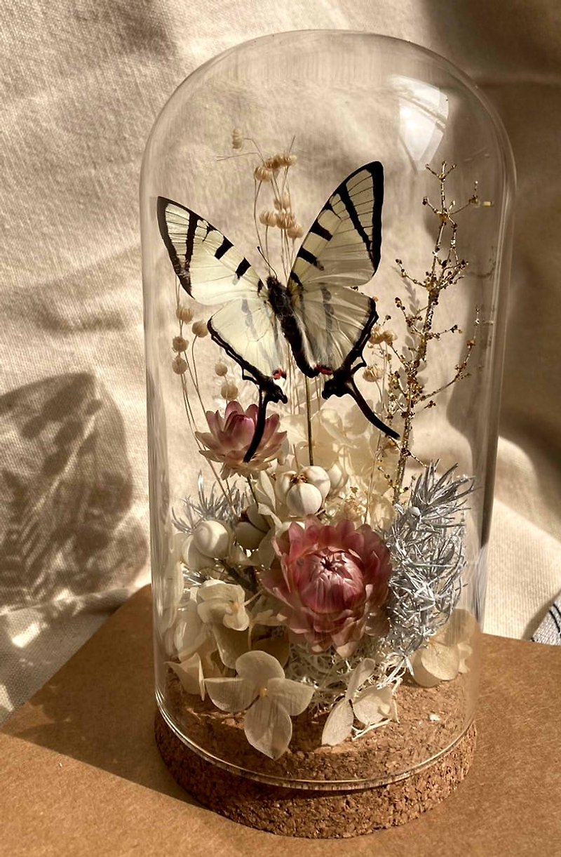 Butterfly Specimen Glass Cup - Elegant Tuxedo/Valentine's Day/Dried Flowers/Ecological Bottle/Preserved Flowers - ช่อดอกไม้แห้ง - พืช/ดอกไม้ สีทอง