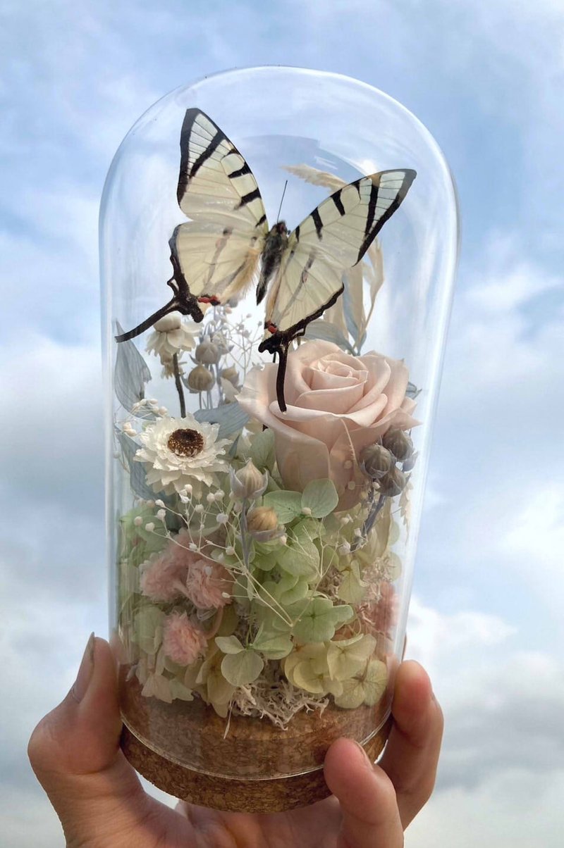 Butterfly Specimen Glass Cup - Elegant Tuxedo/Valentine's Day/Dried Flowers/Ecological Bottle/Preserved Flowers - Dried Flowers & Bouquets - Plants & Flowers Gold