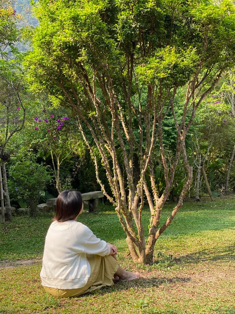 城市沉浸式自然療癒健走體驗 (贈DIY木癒體驗盒) - 戶外/室內活動 - 其他材質 