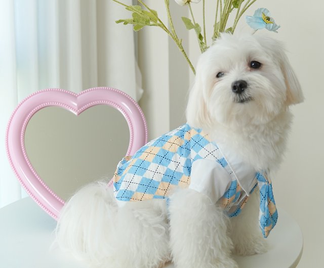 かわいいシャツワンピース ネクタイ付き パステル犬猫カップルセット